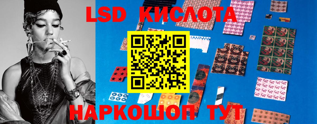 А ПВП Новомосковск