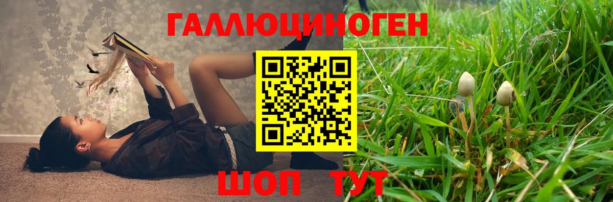Галлюциногенные грибы мухоморы  Вход с VPN  Новомосковск 